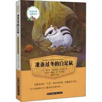 正版书籍 世界经典动物故事 准备过冬的白足鼠 9787541489334 云南出版集