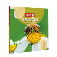 正版书籍 小牛顿植物生存高手：繁殖篇 9787569925791 北京时代华文书局