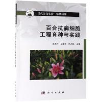 正版书籍 百合抗病细胞工程育种与实践 9787030615121 科学出版社