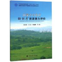正版书籍 内蒙古自治区铬铁矿资源潜力评价/内蒙古自治区矿产资源潜力评价