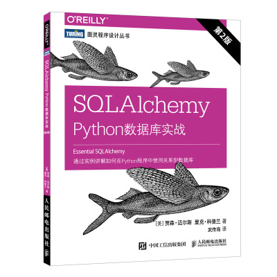 正版书籍 SQLAlchemy Python数据库实战 第2版 9787115516305 人民邮电出版