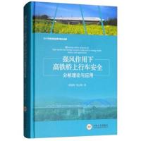 正版书籍 强风作用下高铁桥上行车安全分析理论与应用 9787548732686 中南