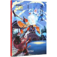 正版书籍 新中国成立70周年儿童文学经典作品集 黑白神丸 9787530156957