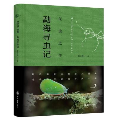 正版书籍 昆虫之美：勐海寻虫记 9787568917230 重庆大学出版社