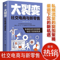 正版新书]大裂变社交电商与新肖玉萍, 向子科9787511383921