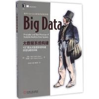 正版新书]大数据系统构建:可扩展实时数据系统构建原理与很好实