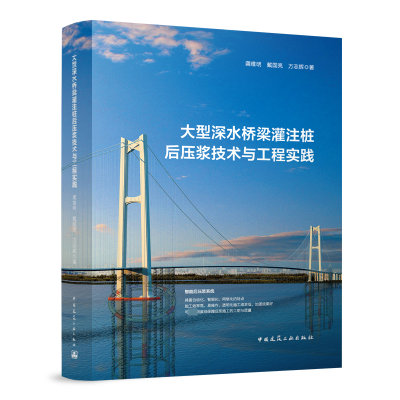 正版新书]大型深水桥梁灌注桩后压浆技术与工程实践龚维明 戴国