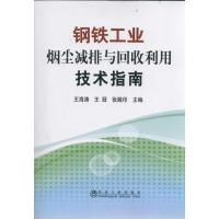 正版新书]钢铁工业烟尘减排与回收利用技术指南王海涛9787502457