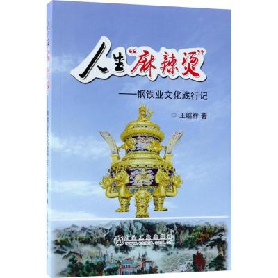 正版新书]人生"麻辣烫":钢铁业文化践行记王继祥9787502478049