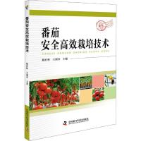 正版新书]番茄安全高效栽培技术隋好林9787504680211