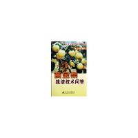 正版新书]黄金梨栽培技术问答于新刚9787508245393