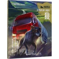 正版新书]黑鹤动物小说儿童彩绘拼音版?穿越高速公路的狼格日勒