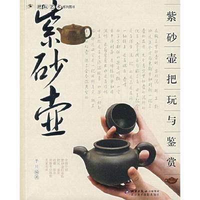 正版新书]紫砂壶把玩与鉴赏/把玩艺术系列图书于川9787805013701