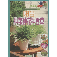 正版新书]阳台种菜种花种香草白虹9787550258433