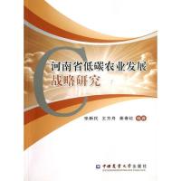 正版新书]河南省低碳农业发展战略研究张新民9787565506109
