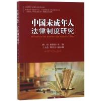 正版新书]中国未成年人法律制度研究路琦9787562085959