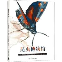 正版新书]昆虫博物馆弗朗索瓦·拉塞尔9787556170