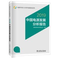 正版新书]能源与电力分析年度报告系列2019中国电源发展分析报告