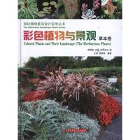 正版新书]彩色植物景观(草本卷)周厚高9787560974927