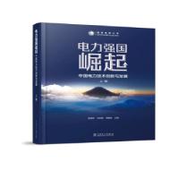 正版新书]电力强国崛起 中国电力技术创新与发展(全2册)陆燕荪,