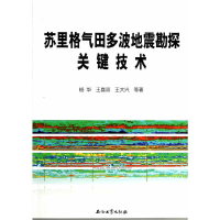 正版新书]苏里格气田多波地震勘探关键技术杨华//王喜双//王大兴