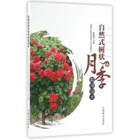 正版新书]自然式树状月季栽培技术陈家瑞|摄影:陈家瑞//汤志敏97