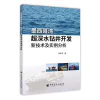 正版新书]墨西哥湾超深水钻井开发新技术及实例分析刘环宇978751