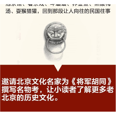 正版新书]青铜葵花获奖作品?将军胡同史雷9787501610006