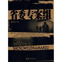 正版新书]省委专案组路兴录9787802040649