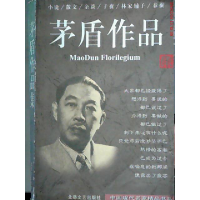 正版新书]矛盾作品集矛盾9787537819619