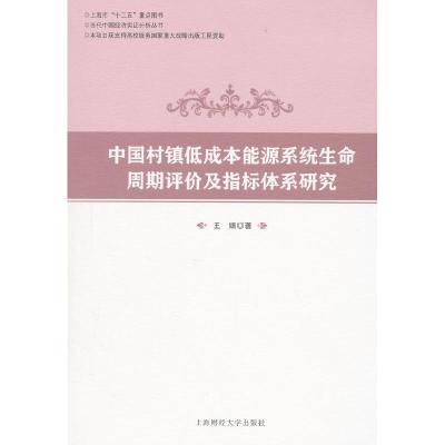 正版新书]中国村镇低成本能源系统生命周期评价及指标体系研究王