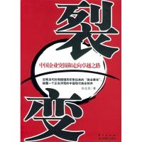 正版新书]裂变——中国企业突围和走向卓越之路张远昌9787506009