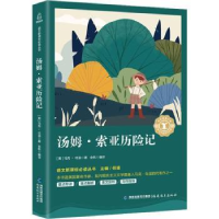 正版新书]汤姆·索亚历险记(美)马克·吐温9787533480585