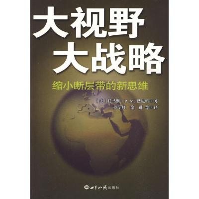 正版新书]大视野大战略:缩小断层带的新思维:缩小断层带的新思