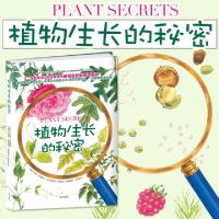 正版新书]植物生长的秘密(美)艾米丽·古德曼(Emily Goodman)9787