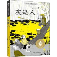 正版新书]优选儿童文学典藏书系·靠前获奖作品系列•灰矮人皮·皮