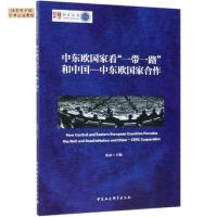 正版新书]中东欧国家看“一带一路”和中国—中东欧国家合作陈新