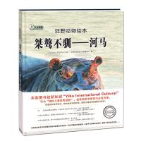 正版新书]狂野动物绘本:桀骜不驯-河马(精装绘本)狂野动物绘本编