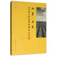 正版新书]地厚天高(王言彬三农问题新闻作品选)王言彬9787545717