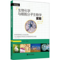 正版新书]生物化学与细胞分子生物学实验赵佳福主编978756971849