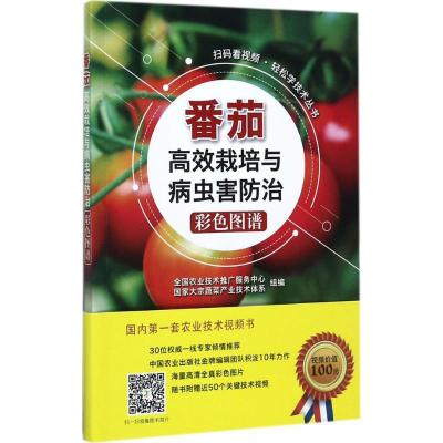 正版新书]番茄高效栽培与病虫害防治彩色图谱全国农业技术推广服