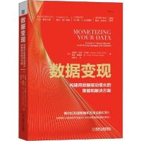 正版新书]数据变现 构建用数据驱动增长的策略和解决方案安德鲁·