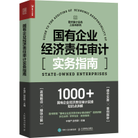 正版新书]国有企业经济责任审计实务指南于维严、赵志新97871155