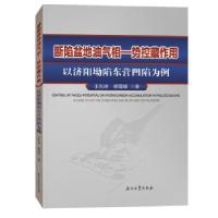 正版新书]断陷盆地油气相—势控藏作用.以济阳坳陷东营凹陷为例