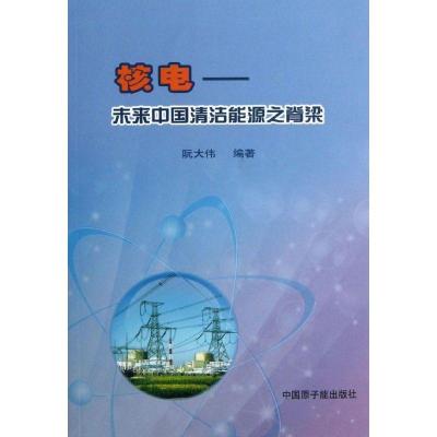 正版新书]核电/未来中国清洁能源之脊梁阮大伟9787502256524