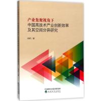 正版新书]产业集聚视角下中国高技术产业创新效率及其空间分异研