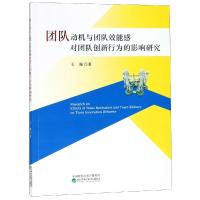 正版新书]团队动机与团队效能感对团队创新行为的影响研究王璇97