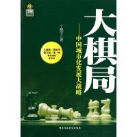 正版新书]大棋局--中国城市化发展大战略丁晓宇9787515000701