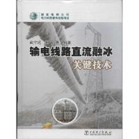 正版新书]输电线路直流融冰关键技术武守远//荆平//李永亮//徐桂