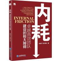 正版新书]内耗 卓越高效团队建设的极大障碍朱新月,高志鹏978751